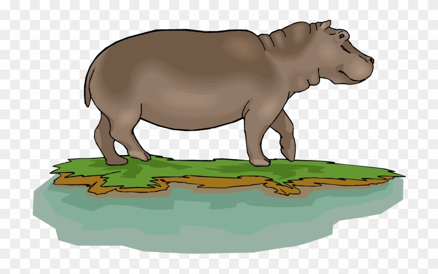 Cartoon Hippo Clipart Clipartme - Pygmy Hippo Clipart - Png Download