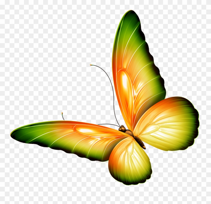 Butterfly Clip Art With - Butterfly Clipart With Transparent Background - Png Download