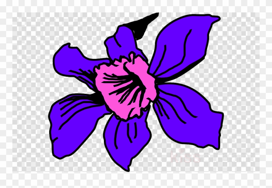 Download La Orquidea De Colombia Animada Clipart Colombia - Wheels Out Of Gear - Png Download