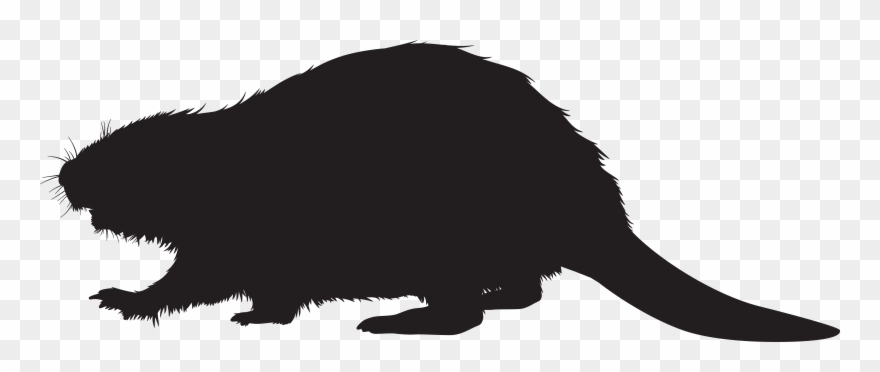 Beaver Silhouette Transparent Background Clipart