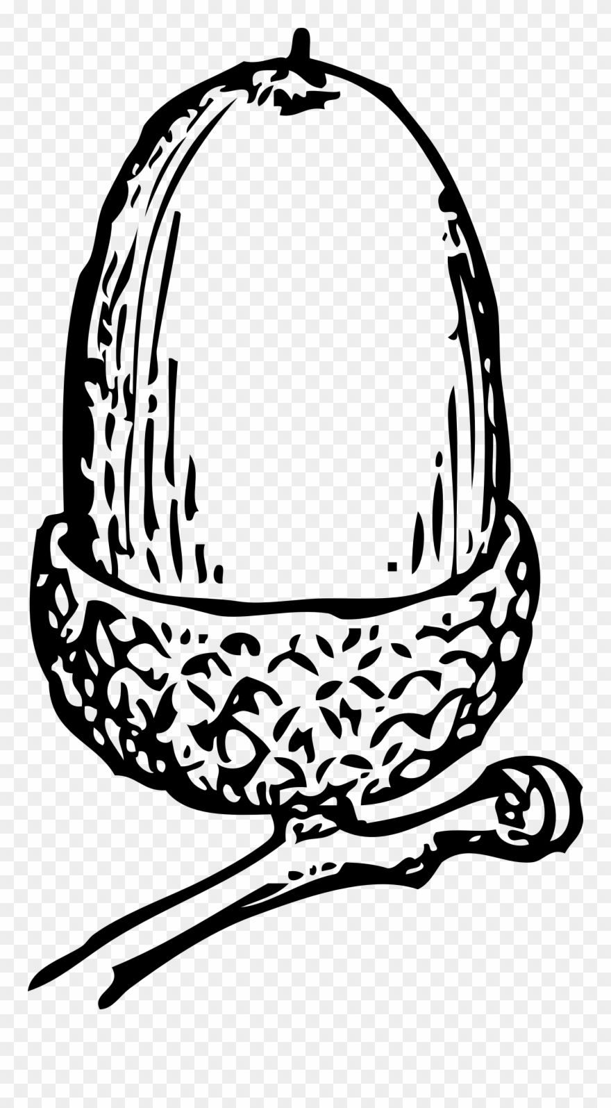 Acorn - Clipart - Black - And - White - Acorn Clip Art - Png Download
