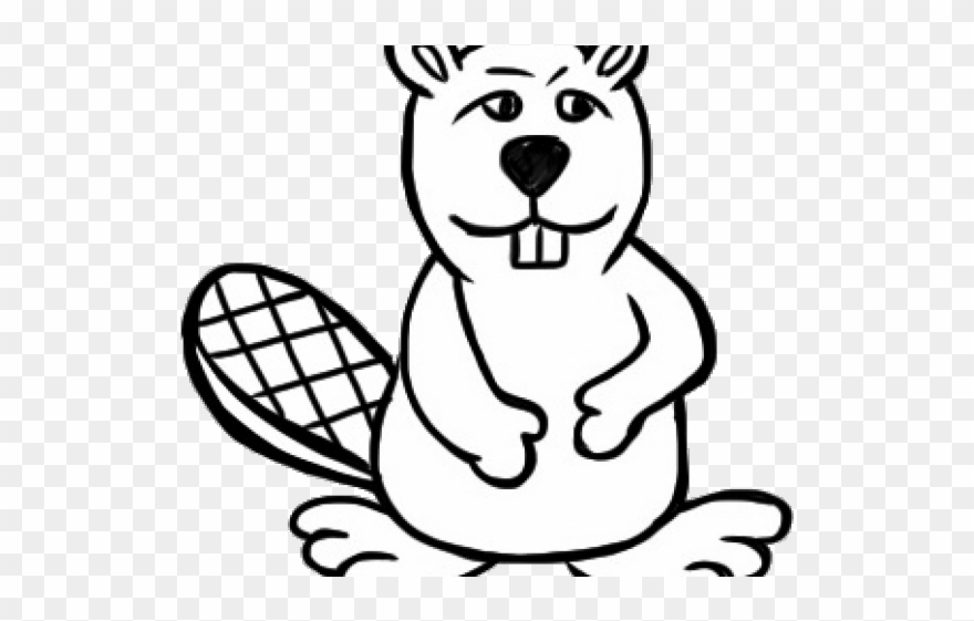 Beaver Clipart Line Art - Clip Art - Png Download