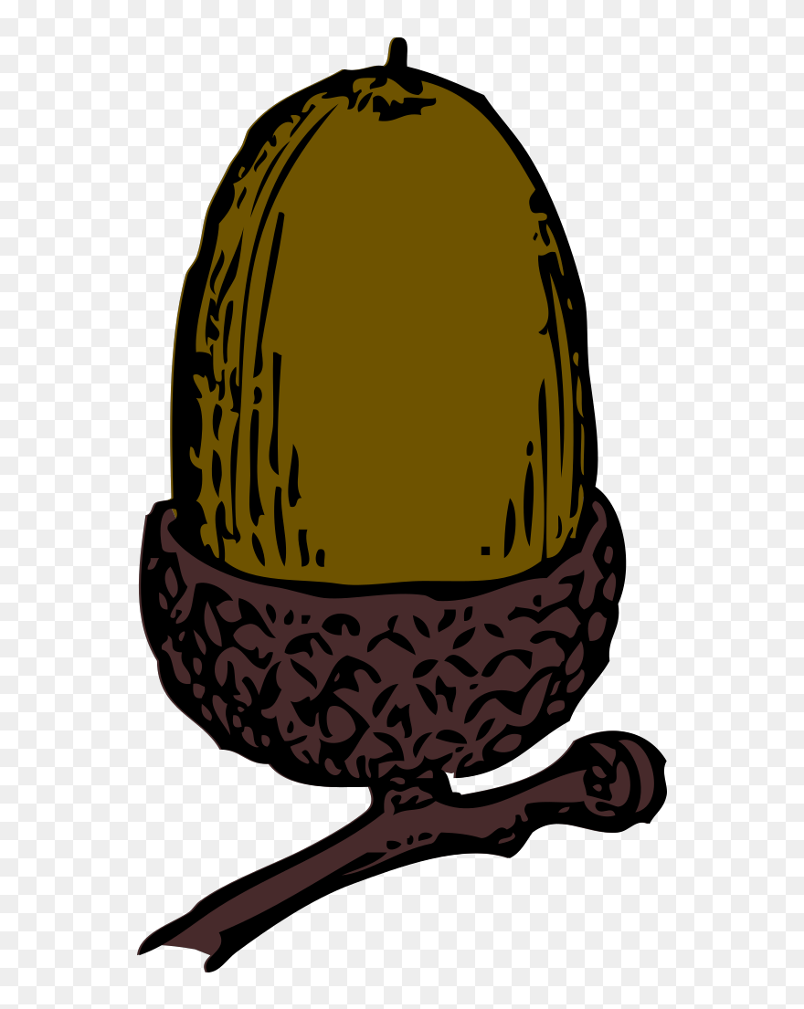 Acorn Clip Art - Png Download