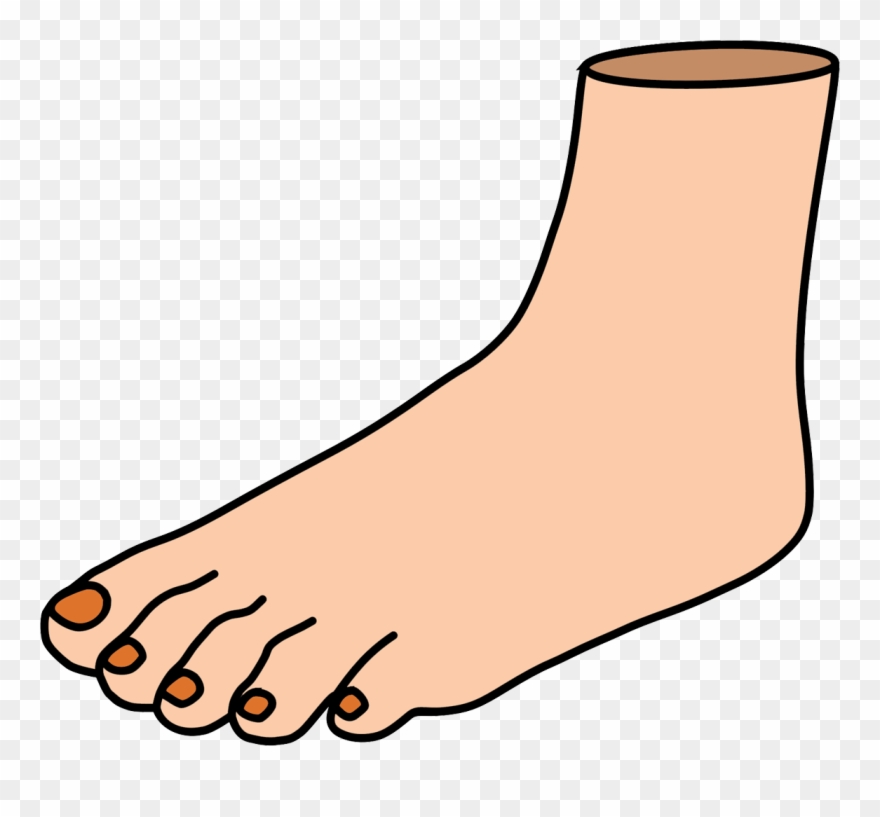 Free Clipart On Dumielauxepices - Foot - Png Download