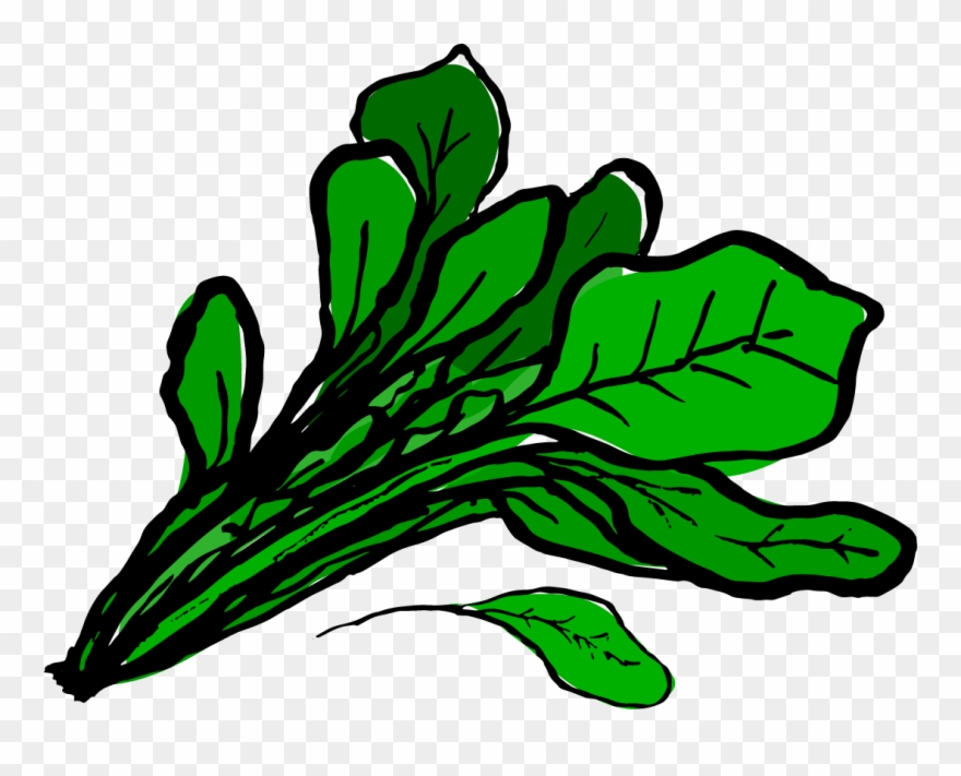 Spinach Clipart At Getdrawings - Spinach Images Clip Art - Png Download
