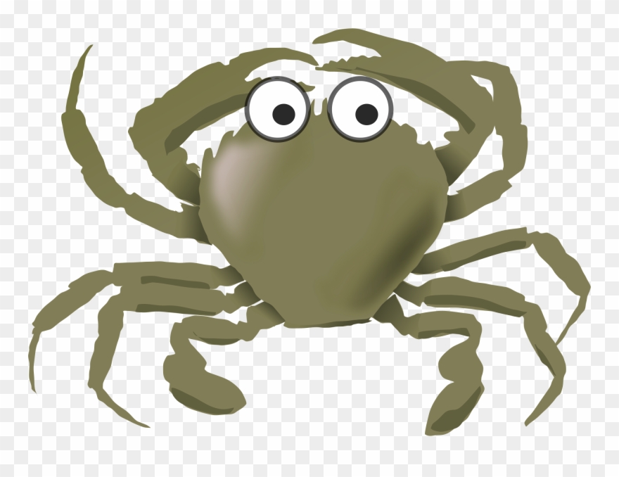 The Angry Crab Seafood Aquatic Animal Angry Crab Shack - Animals That Live Water And Land Clipart