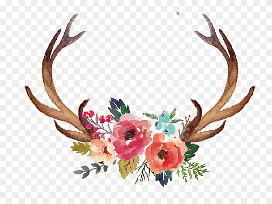 Freeuse Stock Deer Antler Moose Clip - Antlers With Flowers Clipart - Png Download