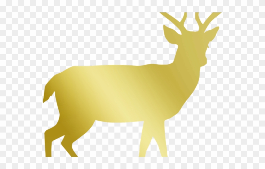 Reindeer Antlers Clipart - Male Deer Silhouette - Png Download