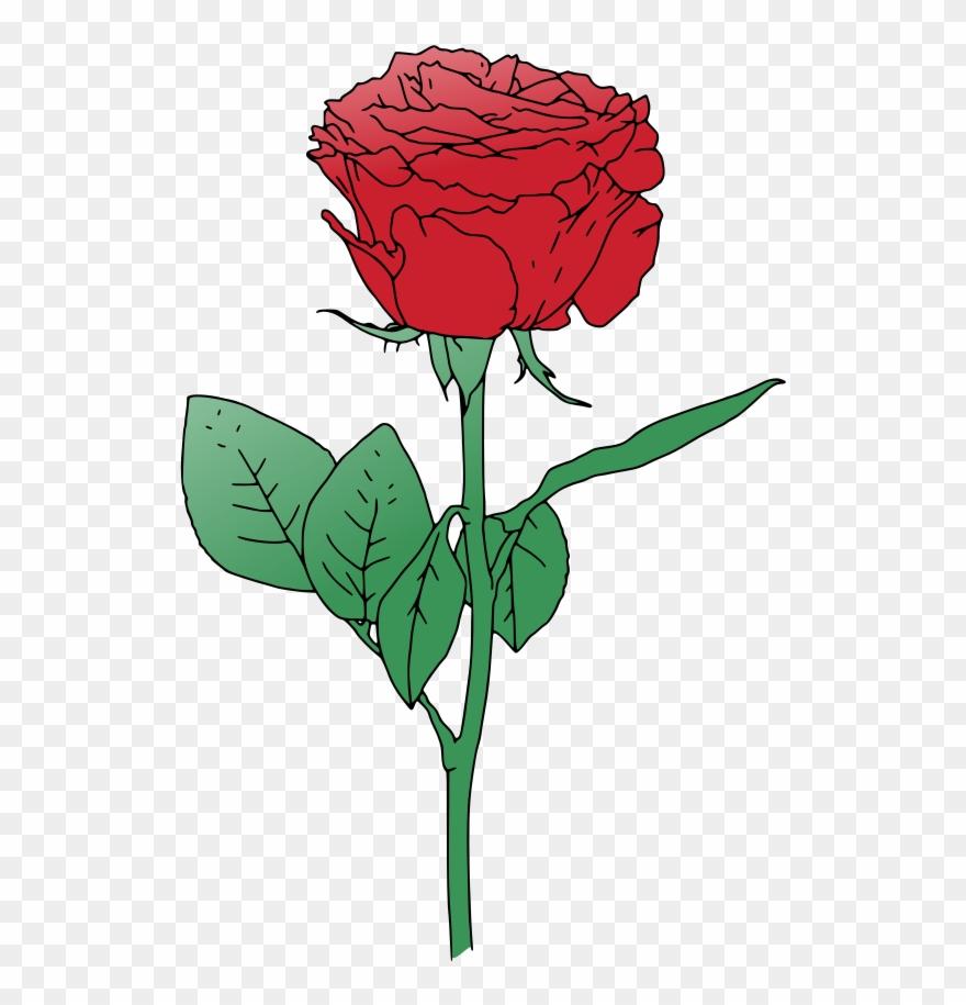Rose Vector Png Clipart