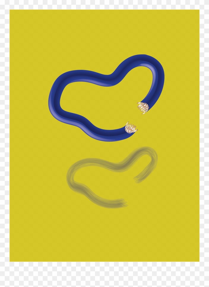 I Made The Wire Using The 3d Tool In And Illustration