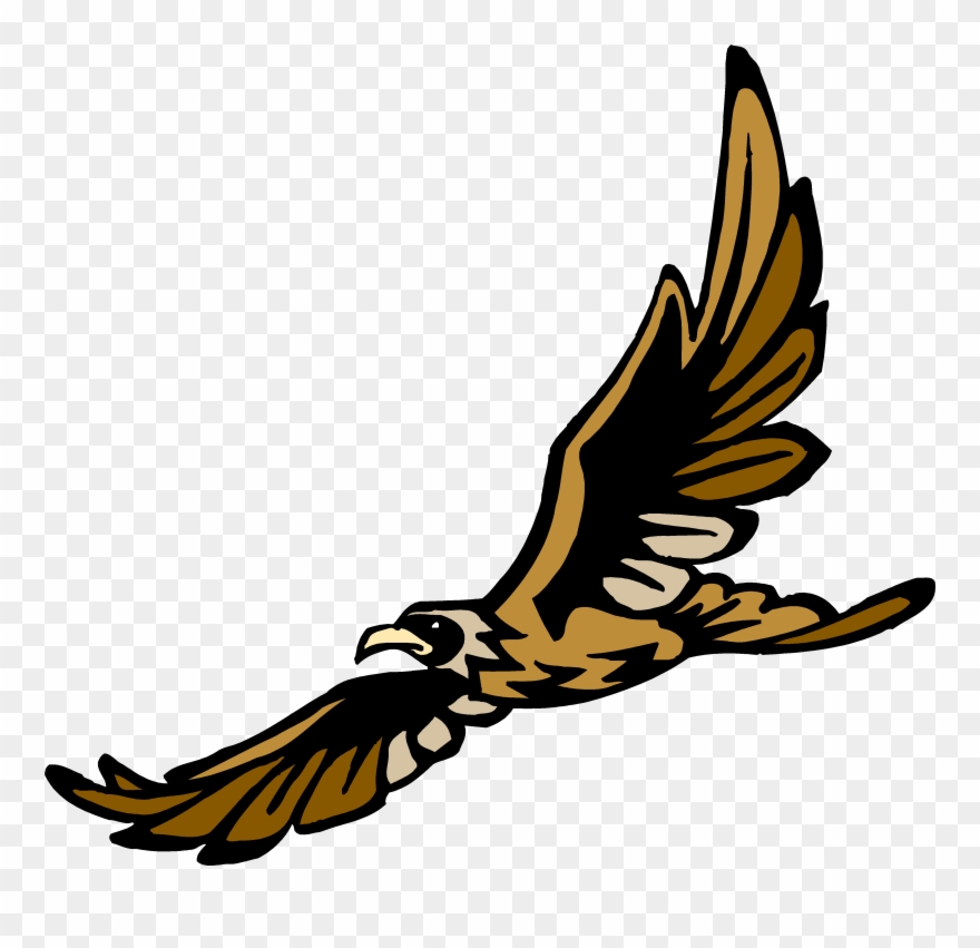 Hawk Clipart Tertiary Consumer - Png Download