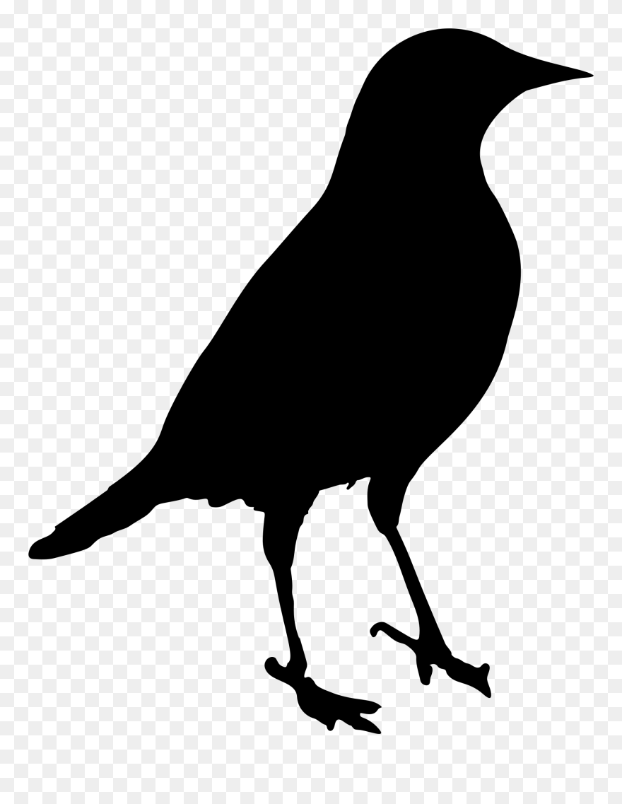 Onlinelabels Clip Art Blackbird Silhouette - Clip Art Black Bird - Png Download