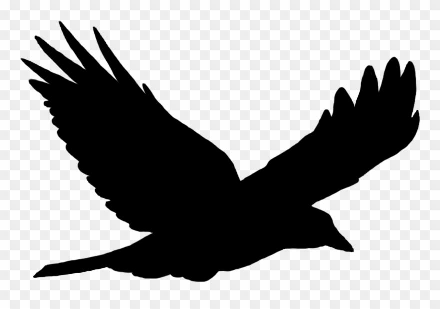 Crow Clip Art - Your Wings Already Exist All You Have - Png Download