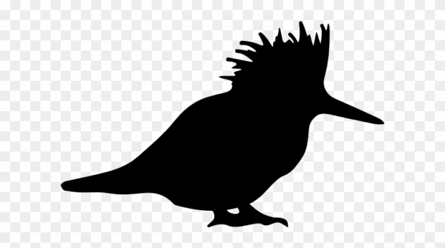 Crow Clipart Side View - Bird - Png Download