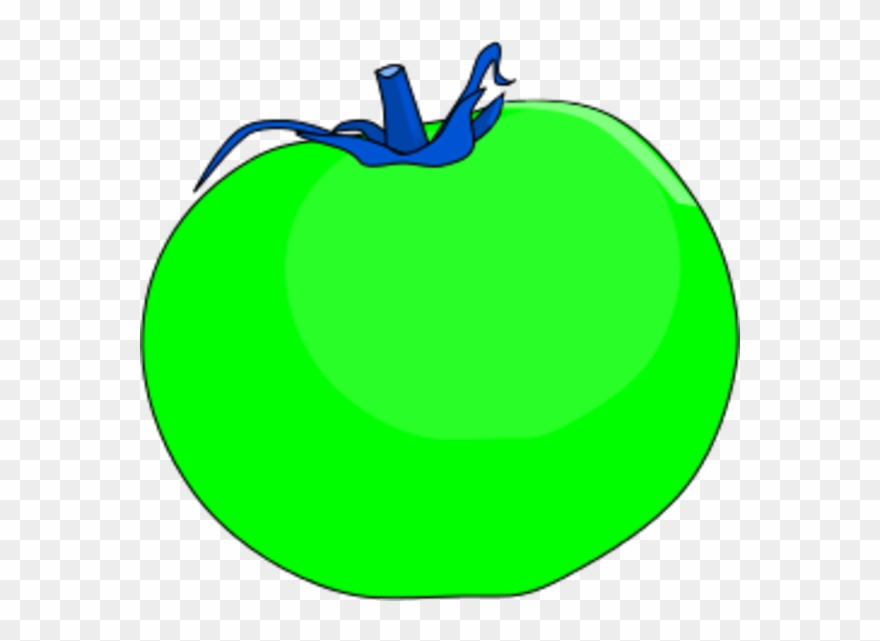 Tomato Vector Clip Art - Green Tomato Clipart - Png Download