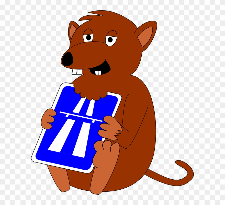 Clipart Info - Png Animal Snare Transparent Png