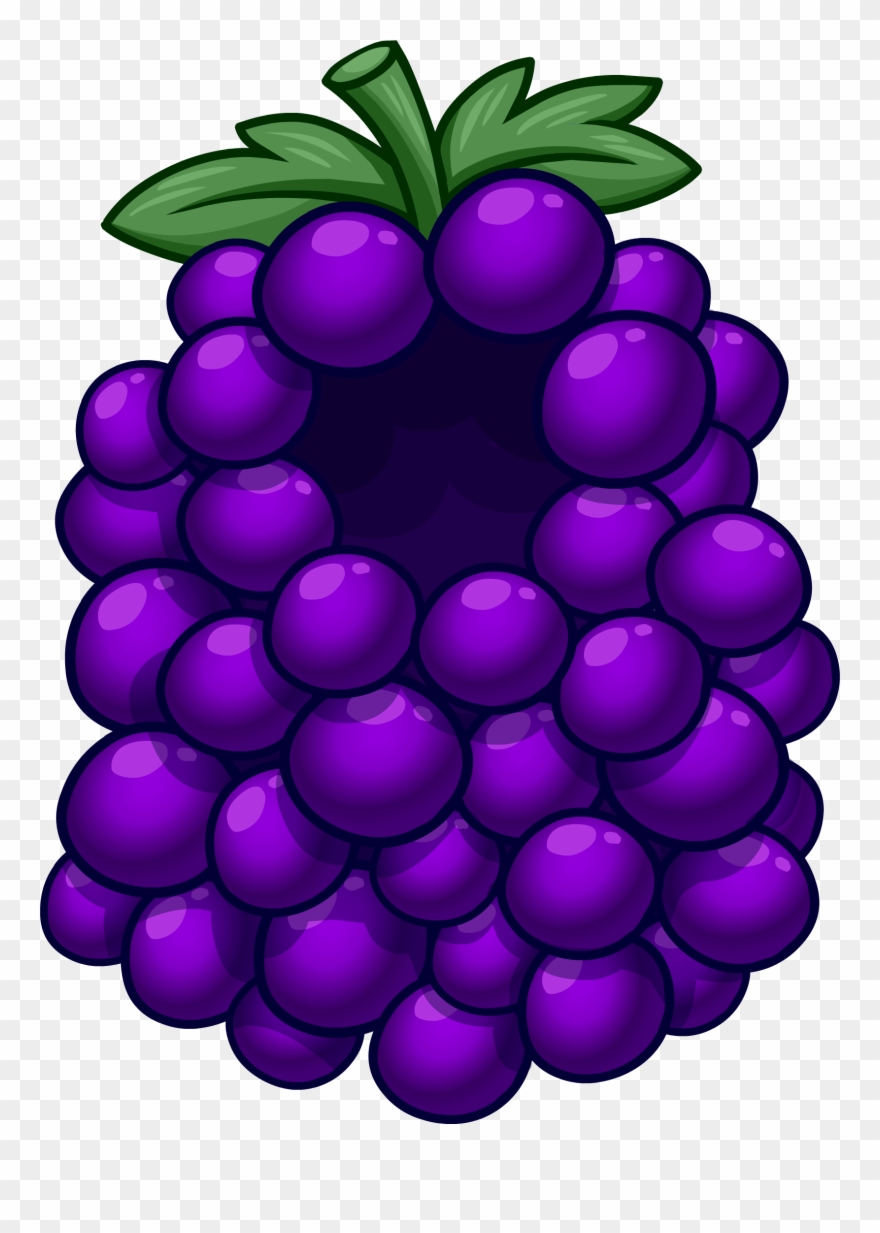 John Cena Clipart Grape - Grape Costume Club Penguin - Png Download