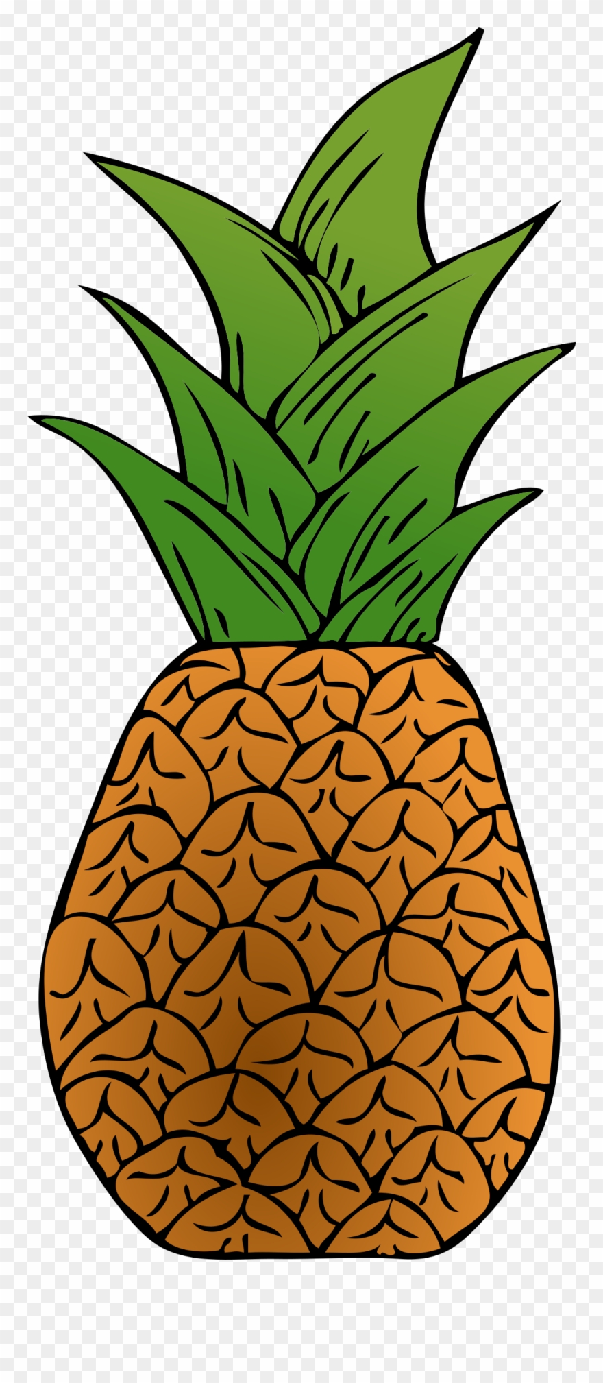 Download Image Royalty Free Download Archives Creative - Custom Pineapple Shower Curtain Clipart