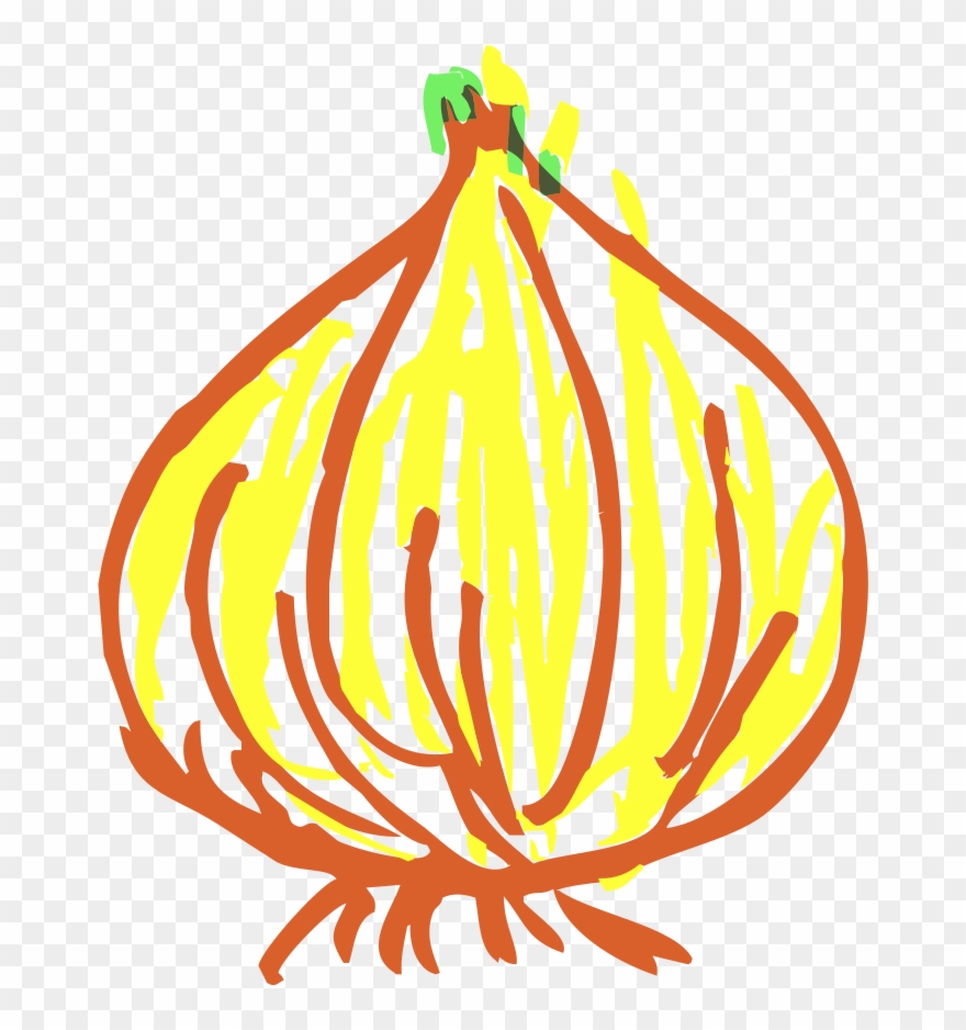 Onion Clipart Png Transparent Png