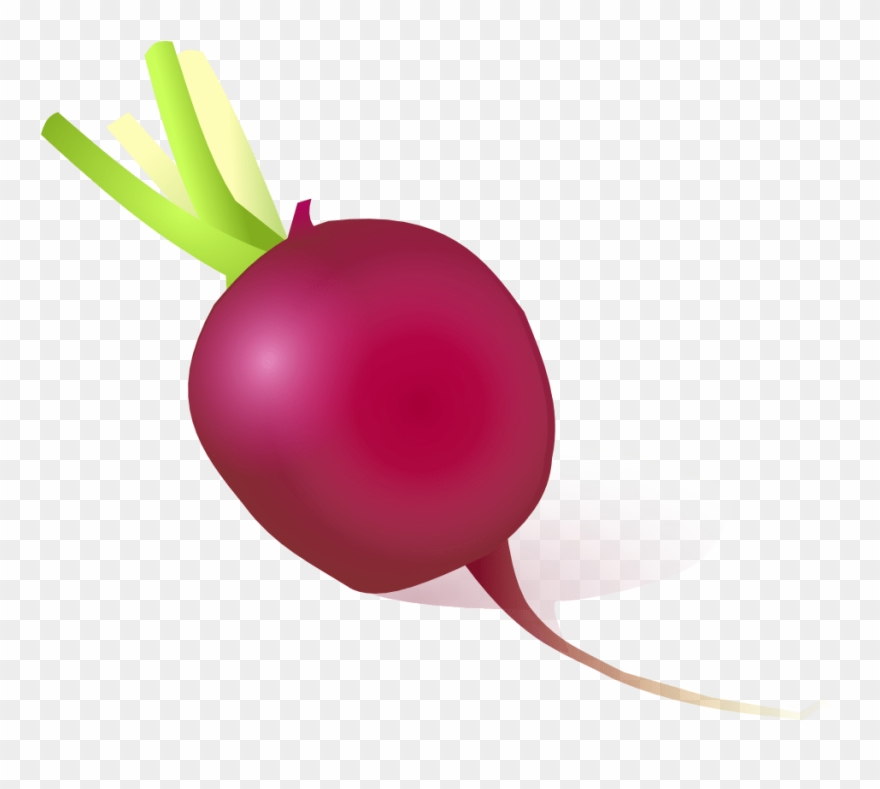 Vegetable Daikon Onion Eating Turnip - Radish Pics Clipart - Png Download