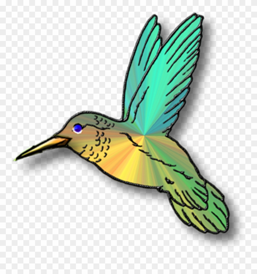 Hummingbird Clip Art Clipart Panda Free Images Animations - Hummingbird Clip Art Transparent - Png Download