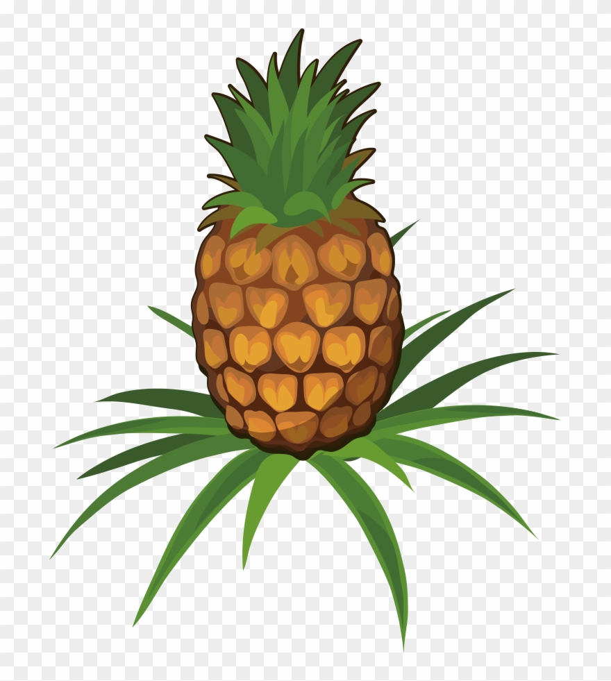 Clipart Pineapple Cartoon - Pineapple Plant Cartoon Png Transparent Png
