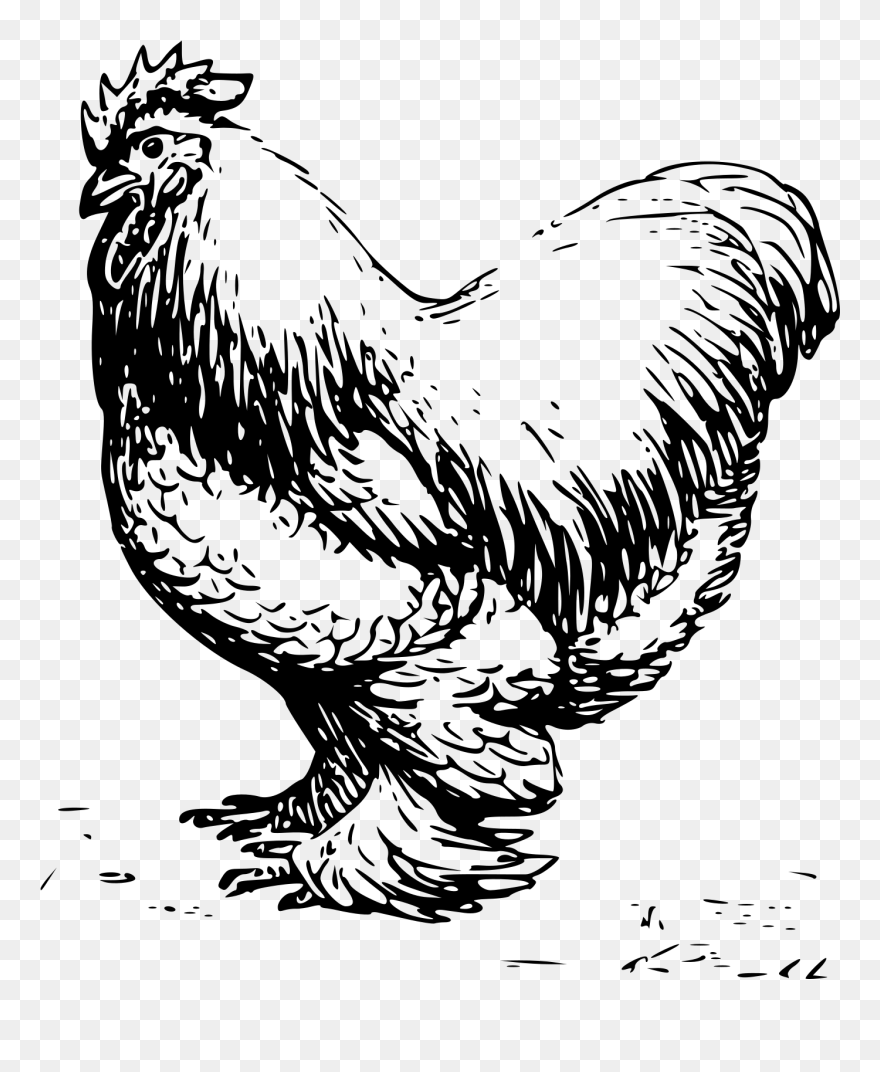 Clip Arts Related To - Chicken Logo Png Black And White Transparent Png