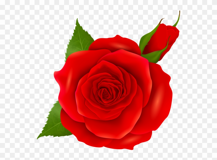 0, - Pink Bud Roses Clipart