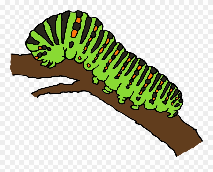 Caterpillar Clipart Ulat - Caterpillar Clipart - Png Download