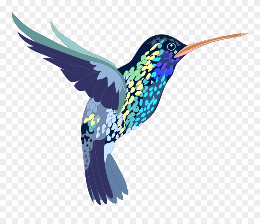 Png, Bird, Hummingbird, Colorful, Illustration, Shapes - Clip Art Hummingbird Png Transparent Png
