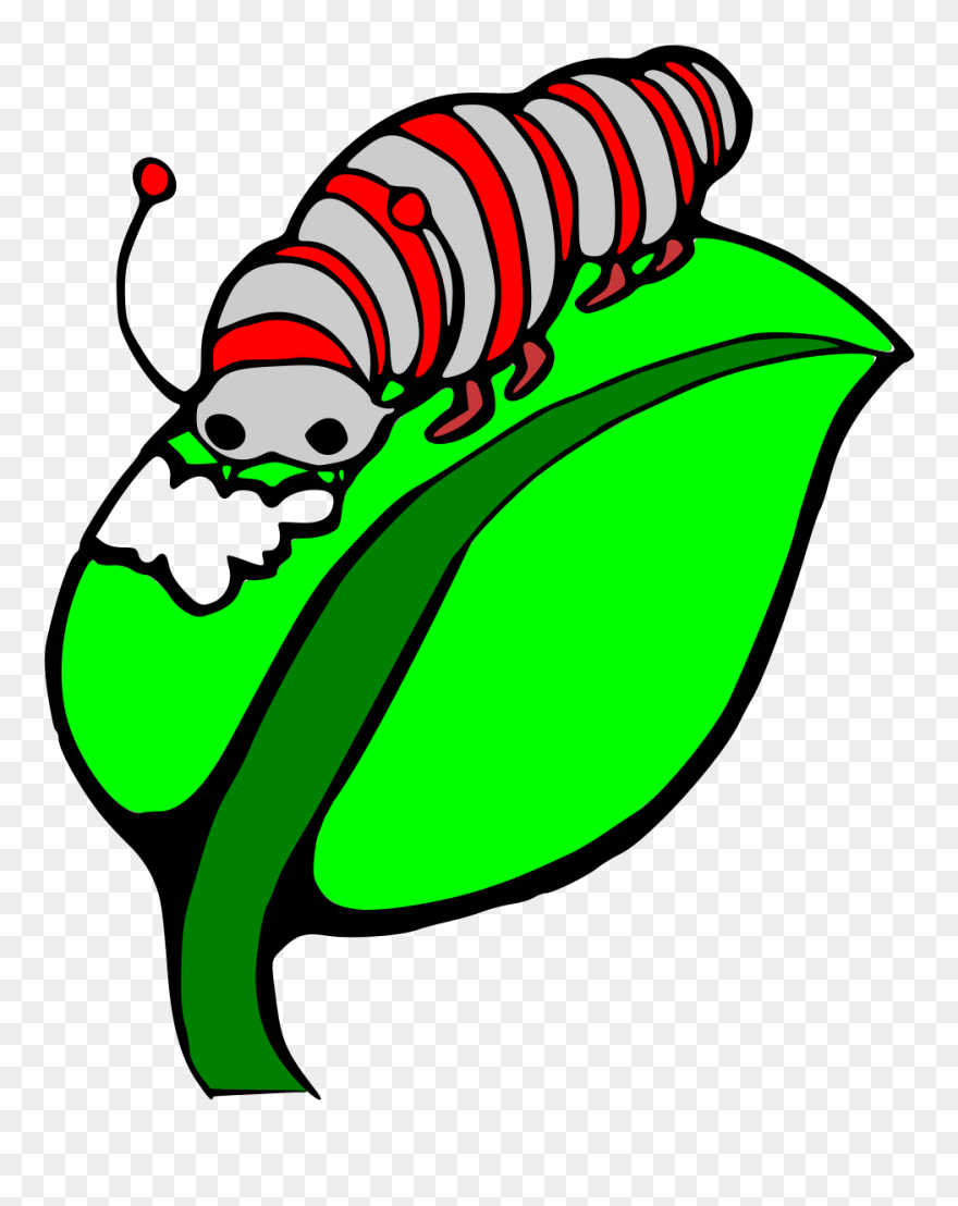 Caterpillar Clipart Leave - Caterpillar Eating Leaf Clip Art - Png Download