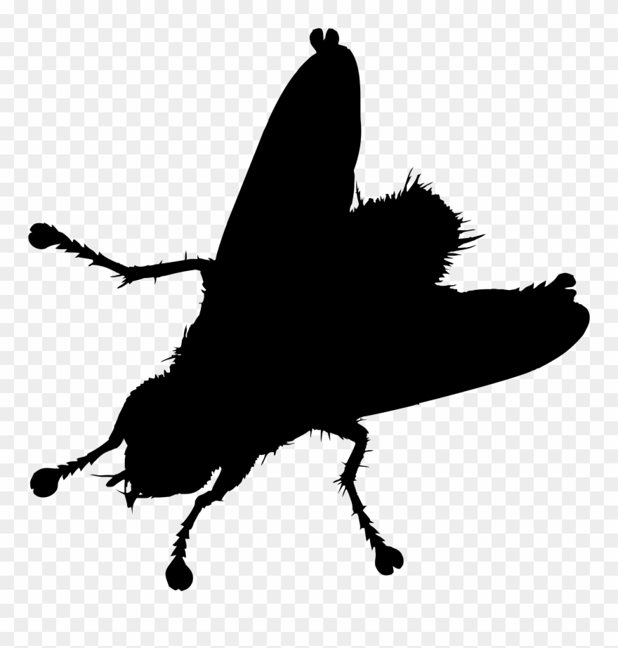 Big Image - Moths And Butterflies Clipart