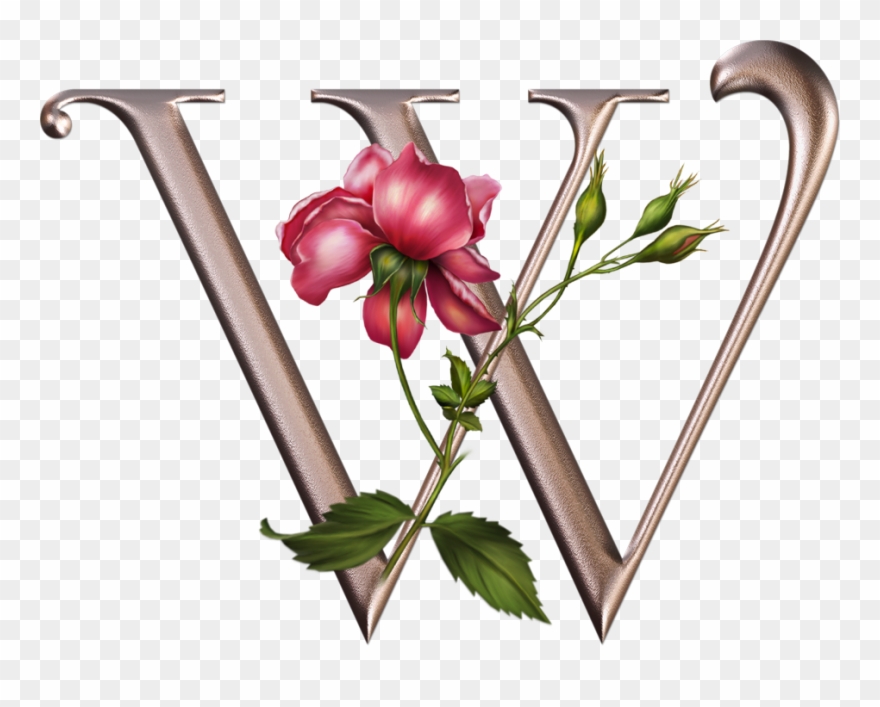 Фотки Monogram Letters, Floral Letters, Design Letters, - Alfabeto Plateado Con Flores Rosas Png Letter Clipart