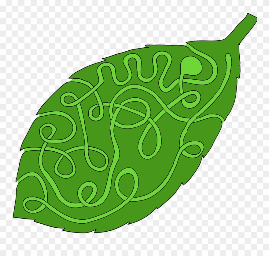 Pictures, Free Photos, Free Images - Laberintos De Hojas Clipart