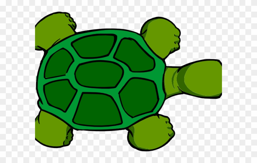 Shell Clipart Tortoise Shell - Cartoon Turtle From Above - Png Download