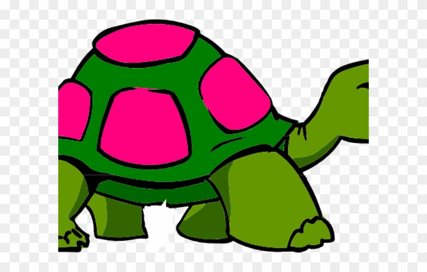 Cool Clipart Tortoise - Tortoise Clipart Transparent Background - Png Download