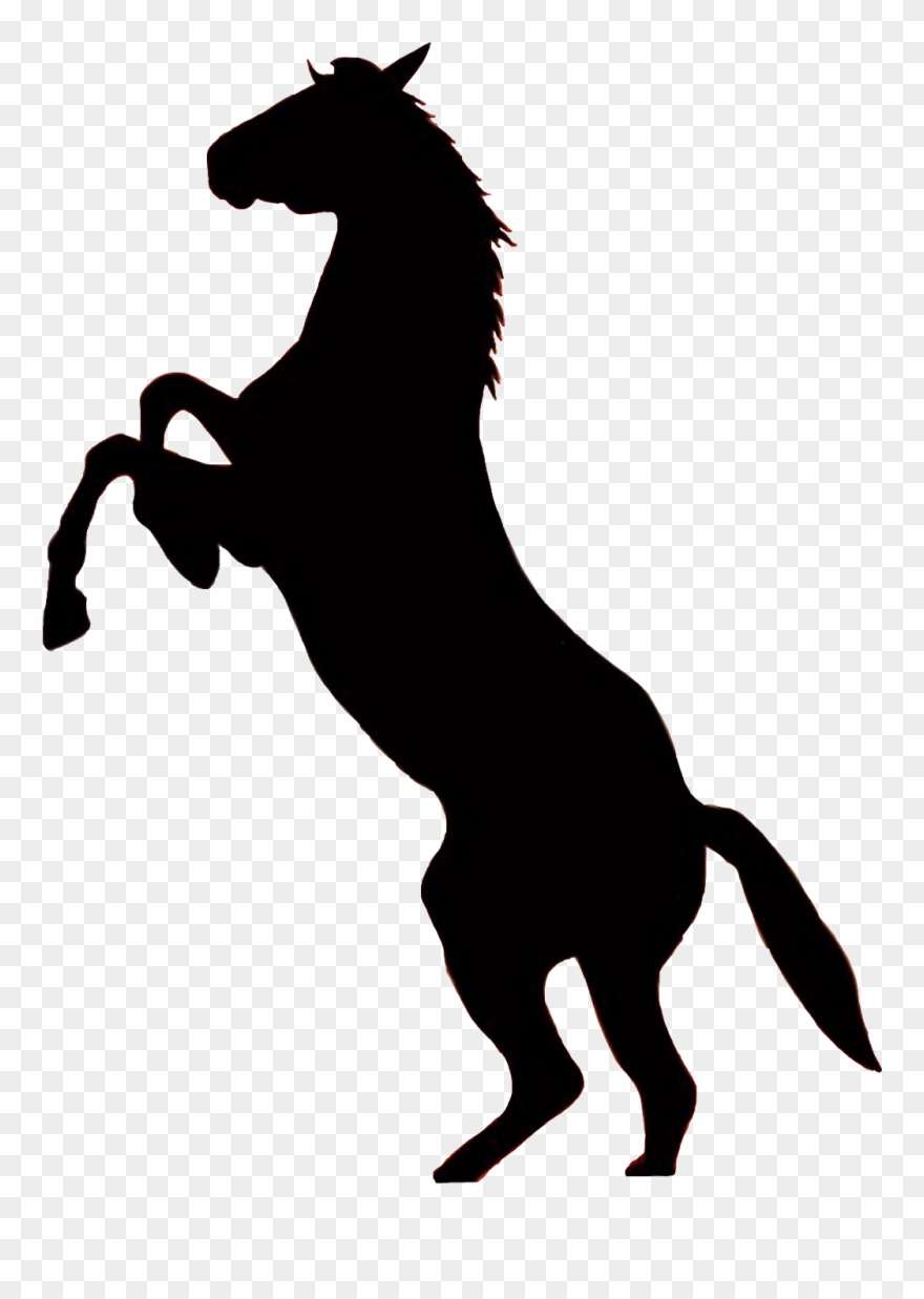 Report Abuse - Horse Png Clipart