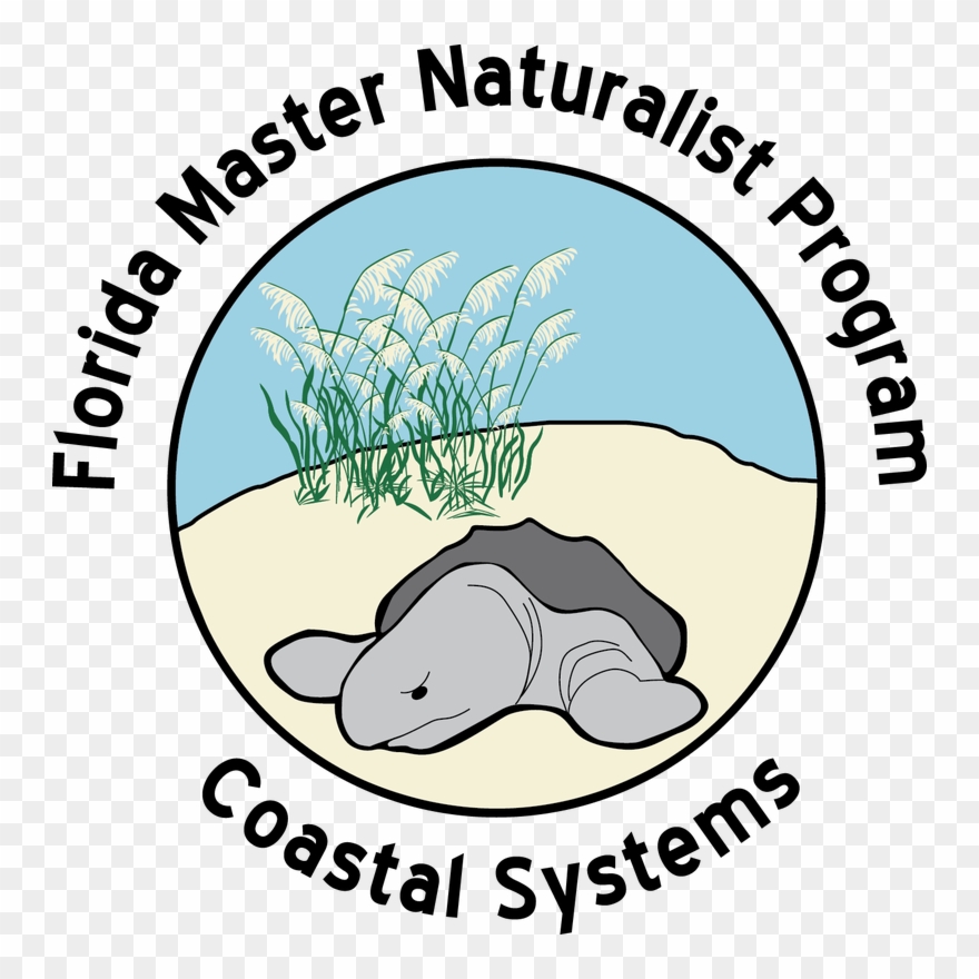 Picture - Florida Master Naturalist Clipart