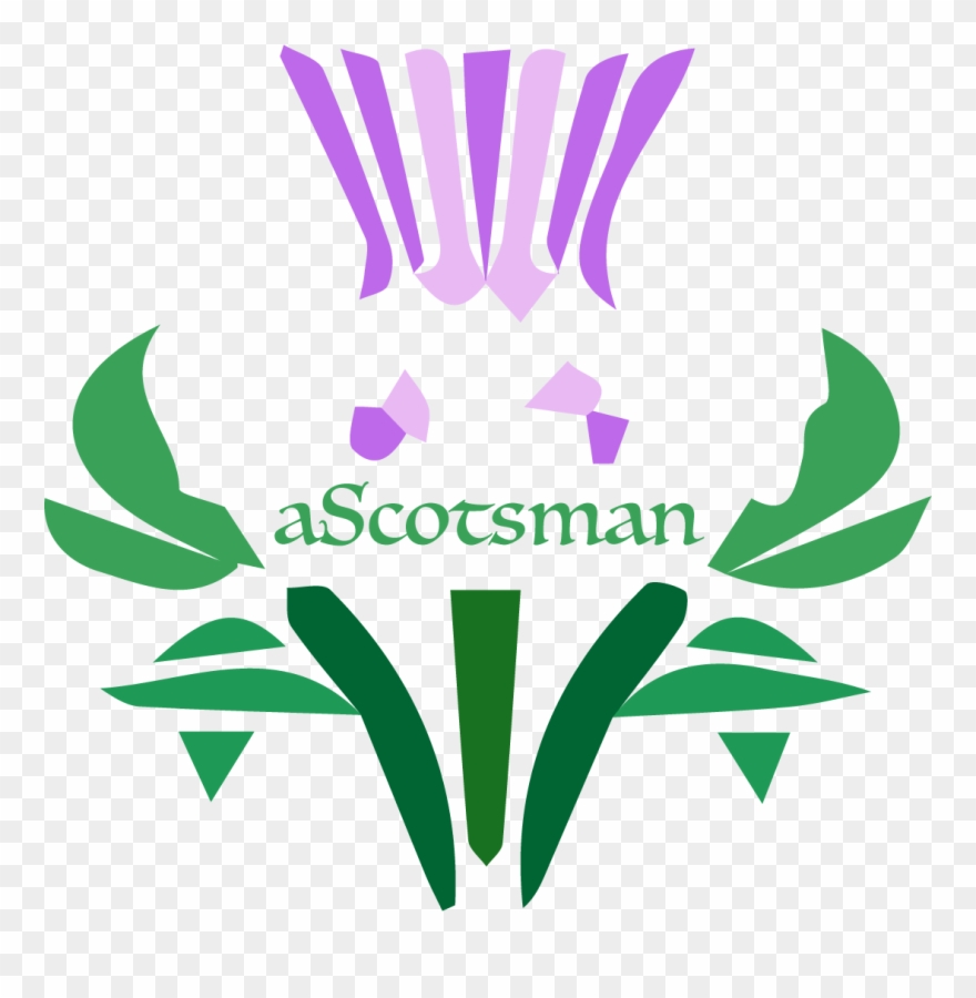 Cardo Simbolo Della Scozia Clipart