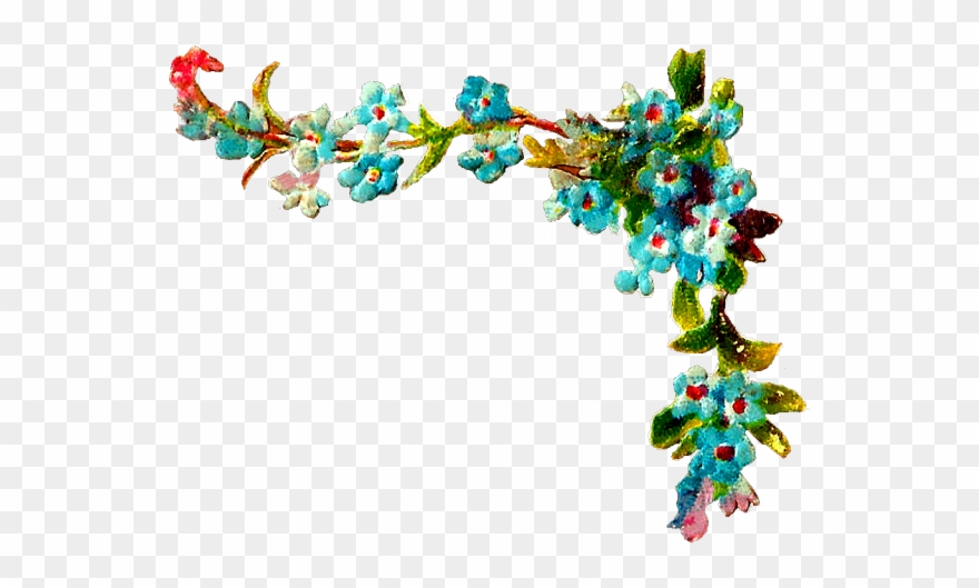 Forget Me Not Clipart Bunch - Wild Flower Corner - Png Download