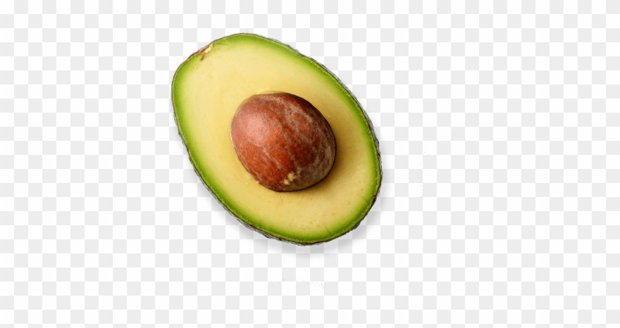 Avocado Png - 1 2 Avocado Png Clipart