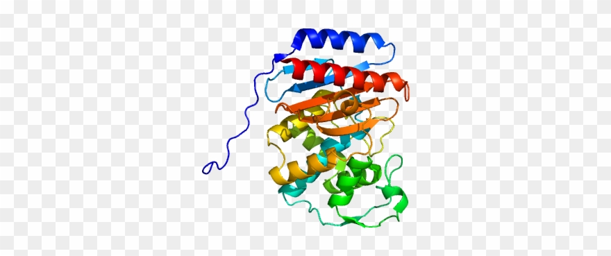 We Are A Research Group Based Within The Biochemistry - Illustration Clipart