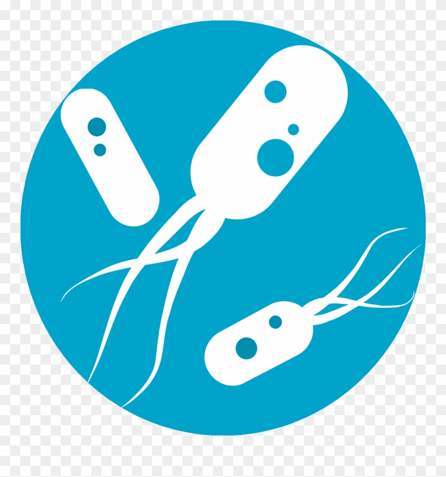 Biological Products For Agriculture - Bactérias Png Clipart
