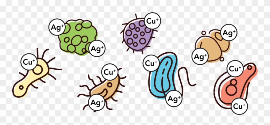 Copper/silver Ionization System Clipart