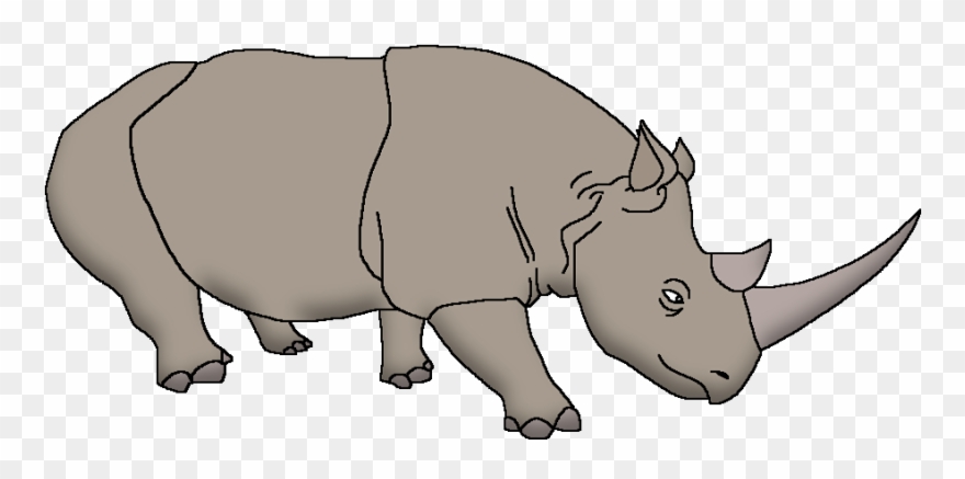South-western Black Rhinoceros - Black Rhinoceros Clipart