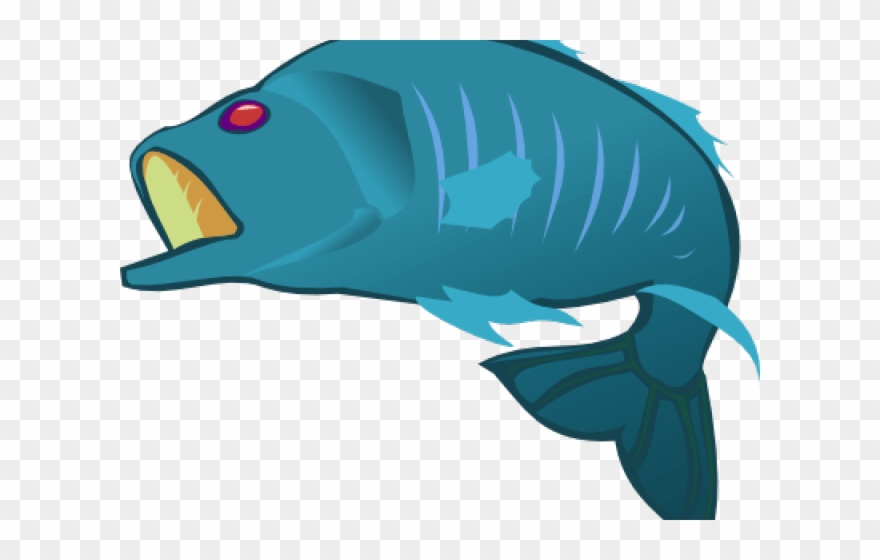 Clownfish Clipart Parrot Fish - Transparent Background Fish Clip Art - Png Download