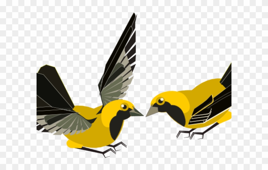 Songbird Clipart Happiness - Clipart Flying Finch - Png Download