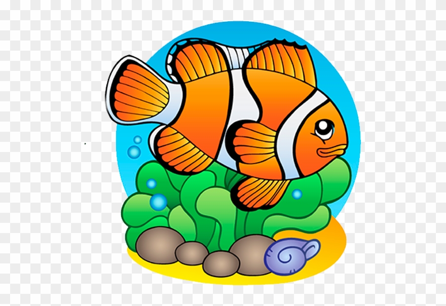 Clown Fish - イラスト 無料 クマノミ Clipart