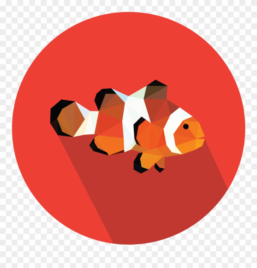 Clownfish For A Client Anyway, I Thought I May As Well - Halten Und Parken Verboten Clipart