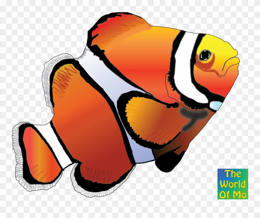 Clown Fish 2 Color Clipart